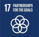 Partnerships between governments and corporations SDG 17
